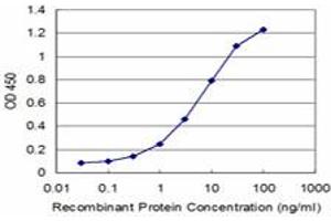 Detection limit for recombinant GST tagged NEK2 is approximately 0.