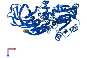 AlphaFold protein structure predicition of Human Recombinant PTGR2 Protein, UniprotID Q8N8N7