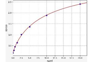Typical standard curve (TNKS Kit ELISA)