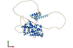 AlphaFold protein structure predicition of Human Recombinant RORA Protein, UniprotID P35398