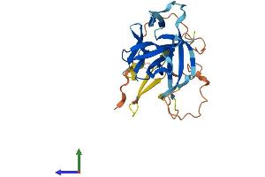 AlphaFold protein structure predicition of Human Recombinant IL33 Protein, UniprotID O95760