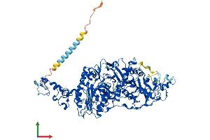 AlphaFold protein structure predicition of Mouse Recombinant Enpp3 Protein, UniprotID Q6DYE8