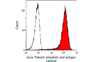 Flow Cytometry (FACS) image for anti-Tubulin, beta (TUBB) (AA 1-50) antibody (ABIN7453995) (Recombinant TUBB anticorps  (AA 1-50))