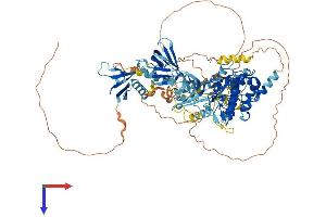 AlphaFold protein structure predicition of Mouse Recombinant Prkd2 Protein, UniprotID Q8BZ03