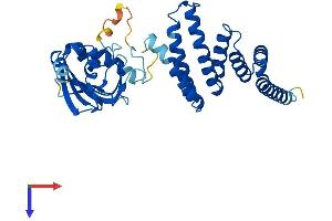 AlphaFold protein structure predicition of Mouse Recombinant Aip Protein, UniprotID O08915