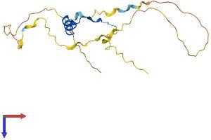 AlphaFold protein structure predicition of Mouse Recombinant Cited4 Protein, UniprotID Q9WUL8