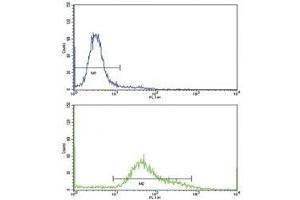 Flow cytometric analysis of HeLa cells using CD71 antibody (bottom histogram) compared to a negative control (top histogram).