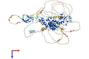 AlphaFold protein structure predicition of Mouse Recombinant Ctdp1 Protein, UniprotID Q7TSG2