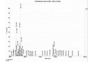 Image no. 1 for Proenkephalin (PENK) protein (KLH) (ABIN1878816)