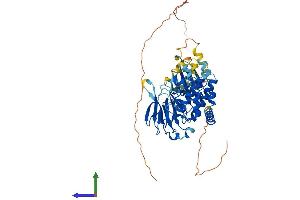 AlphaFold protein structure predicition of Human Recombinant CHEK2 Protein, UniprotID O96017
