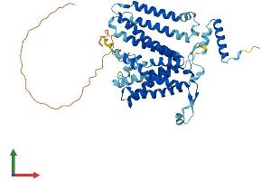 AlphaFold protein structure predicition of Mouse Recombinant Cds1 Protein, UniprotID P98191