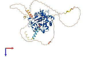 AlphaFold protein structure predicition of Human Recombinant ST6GALNAC1 Protein, UniprotID Q9NSC7
