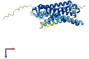 AlphaFold protein structure predicition of Human Recombinant OR3A2 Protein, UniprotID P47893