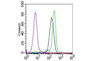 Reactivity of FITC-labelled GM-9A6 with polymorph nuclear cells.