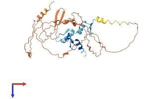 AlphaFold protein structure predicition of Human Recombinant KLF8 Protein, UniprotID O95600