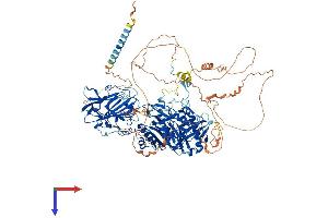 AlphaFold protein structure predicition of Human Recombinant B4GALNT4 Protein, UniprotID Q76KP1