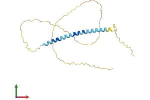 AlphaFold protein structure predicition of Human Recombinant TCEAL4 Protein, UniprotID Q96EI5