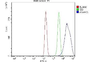 Flow Cytometry analysis of 293T cells using anti-Apc5/ANAPC5 antibody (ABIN7599186).