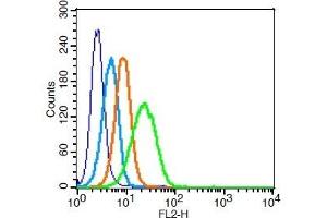 U937 cells probed with 	ADAM17 Polyclonal Antibody, Unconjugated  at 1:100 for 30 minutes followed by incubation with a PE conjugated secondary (green) for 30 minutes compared to control cells (blue), secondary only (light blue) and isotype control (orange).