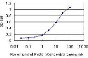 Detection limit for recombinant GST tagged BAAT is approximately 0.