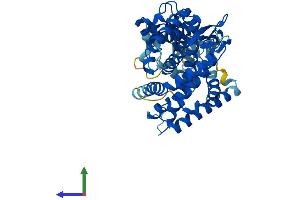 AlphaFold protein structure predicition of Human Recombinant CYP20A1 Protein, UniprotID Q6UW02