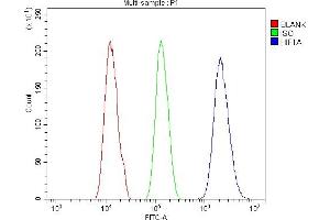 Flow Cytometry analysis of A431 cells using anti-HIF-1 alpha/HIF1A antibody (ABIN7602159).