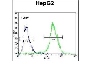 NR0B2 Antibody (Center) (ABIN655027 and ABIN2844658) flow cytometric analysis of HepG2 cells (right histogram) compared to a negative control cell (left histogram). (NR0B2 anticorps  (AA 56-83))