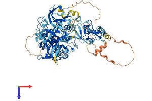 AlphaFold protein structure predicition of Mouse Recombinant Prkcq Protein, UniprotID Q02111