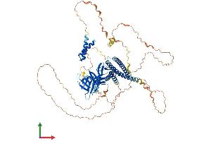 AlphaFold protein structure predicition of Mouse Recombinant Afap1 Protein, UniprotID Q80YS6