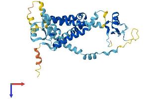 AlphaFold protein structure predicition of Human Recombinant PEX12 Protein, UniprotID O00623