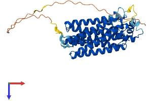 AlphaFold protein structure predicition of Human Recombinant COX15 Protein, UniprotID Q7KZN9
