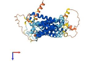 AlphaFold protein structure predicition of Mouse Recombinant Serinc3 Protein, UniprotID Q9QZI9