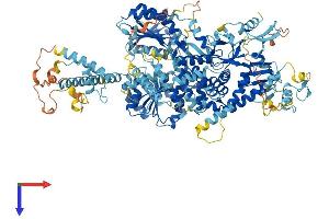 AlphaFold protein structure predicition of Human Recombinant DHX34 Protein, UniprotID Q14147