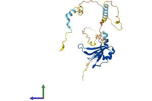 AlphaFold protein structure predicition of Mouse Recombinant Pabpn1l Protein, UniprotID Q5XFR0