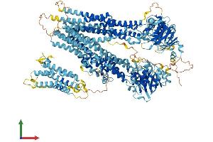 AlphaFold protein structure predicition of Mouse Recombinant Abcc10 Protein, UniprotID Q8R4P9