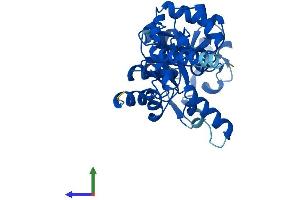 AlphaFold protein structure predicition of Mouse Recombinant Gdpd1 Protein, UniprotID Q9CRY7