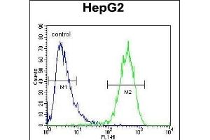 ABCC10 Antibody (Center) (ABIN654102 and ABIN2843986) flow cytometric analysis of HepG2 cells (right histogram) compared to a negative control cell (left histogram). (ABCC10 anticorps  (AA 767-793))