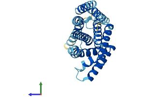AlphaFold protein structure predicition of Mouse Recombinant Tmem101 Protein, UniprotID Q91VP7