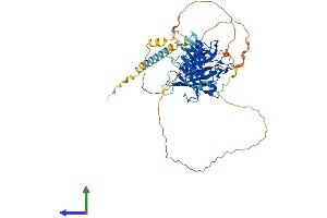 AlphaFold protein structure predicition of Human Recombinant TUB Protein, UniprotID P50607