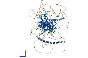 AlphaFold protein structure predicition of Mouse Recombinant Tbc1d1 Protein, UniprotID Q60949