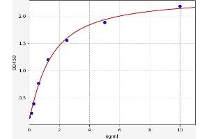 Typical standard curve (ROBO4 Kit ELISA)