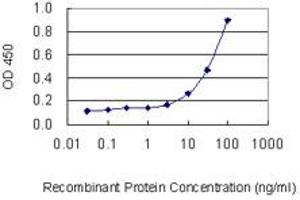 Detection limit for recombinant GST tagged PRPF31 is 1 ng/ml as a capture antibody. (PRPF31 anticorps  (AA 400-499))