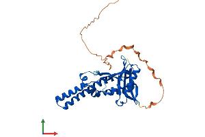 AlphaFold protein structure predicition of Mouse Recombinant Nat8l Protein, UniprotID Q3UGX3