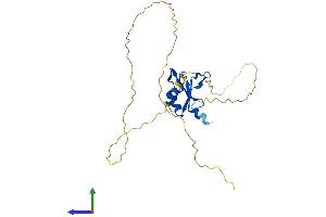AlphaFold protein structure predicition of Human Recombinant RBM7 Protein, UniprotID Q9Y580