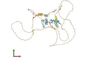 AlphaFold protein structure predicition of Human Recombinant KLF11 Protein, UniprotID O14901