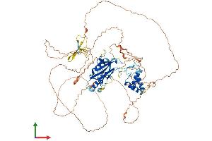 AlphaFold protein structure predicition of Human Recombinant CARF Protein, UniprotID Q8N187
