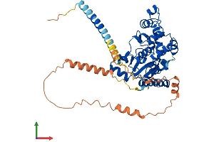 AlphaFold protein structure predicition of Human Recombinant CHST9 Protein, UniprotID Q7L1S5