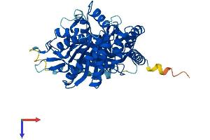 AlphaFold protein structure predicition of Human Recombinant TUBA8 Protein, UniprotID Q9NY65