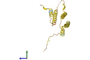 AlphaFold protein structure predicition of Human Recombinant C17orf107 Protein, UniprotID Q6ZR85