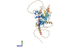 AlphaFold protein structure predicition of Human Recombinant ZNF165 Protein, UniprotID P49910